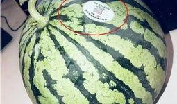 高邮网红吃瓜,揭秘网络红人的幕后故事