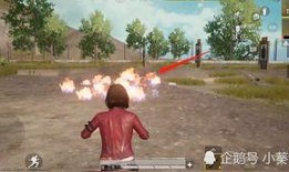 和平精英10月新宠物最新爆料,萌宠集结，趣味升级！